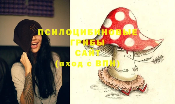 не бодяженный Абаза