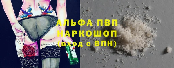 СК Протвино